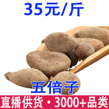 �屶��  �ĸ� ���x�}�Ϛ��� �屶�����l���l