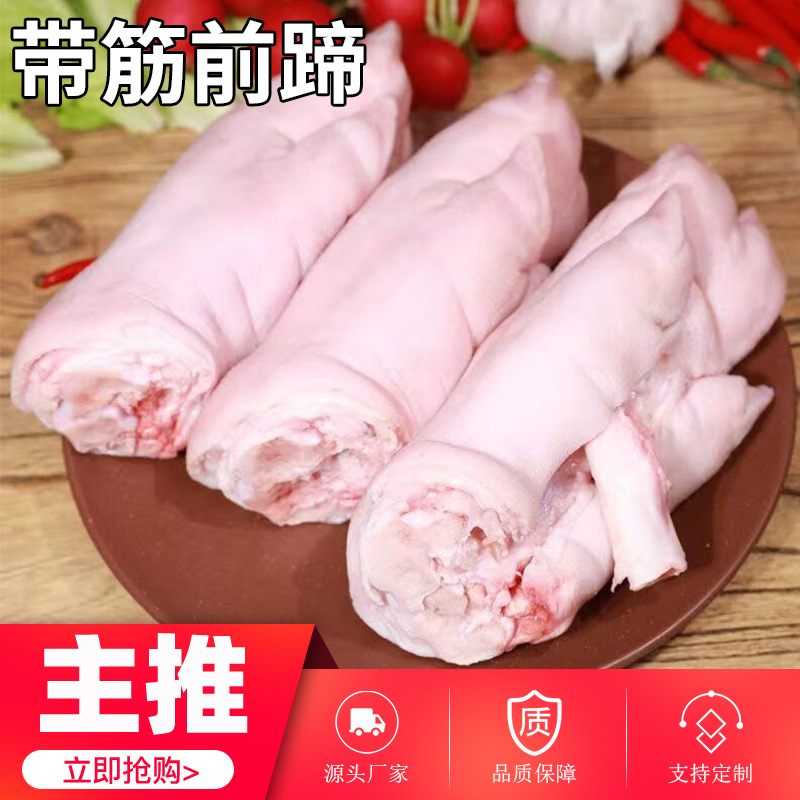 带筋前蹄整只新鲜散养土猪香猪肘子蹄子猪蹄冷生冻带筋前蹄