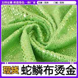 现货供应蛇麟烫金布料 四面弹力镭射幻彩娃娃DIY辅料烫金布料