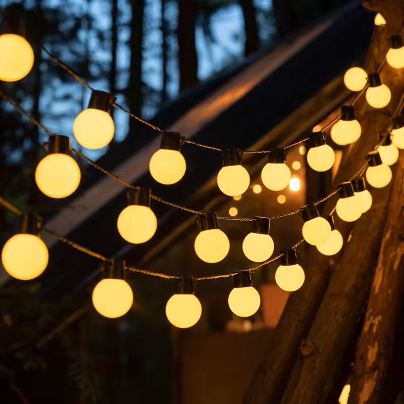 微信图片_20250202224654