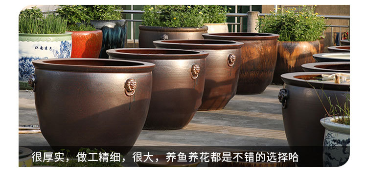 详情页2.jpg