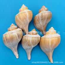 ���������Ȼؐ�������~��ˮ���쾰�bľ�з��ؐ�~��ֳ����Q��