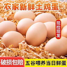 蛋一喂养整箱枚鸡蛋40虫草散养新鲜批发农家散养富柴鸡蛋无抗全年