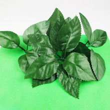 ����õ�廨�~���~�Gɫ���Ϙ��~diy�ֹ����������b�ֲ���~������