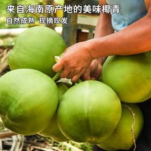 带皮椰青海南新鲜椰子2/4/6个装椰汁应季孕妇水果批发包邮速卖通