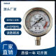 Huayan Factory Direct Sales Water Purifier Special Stainless Steel Oil-filled and Shock-resistant Radial 1Mpa Pressure Strap Factory Name