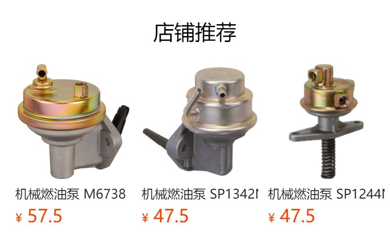 Brake Vacuum Pump Lr 096061