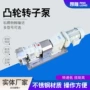 啮合定制磁力摆线凸轮泵
