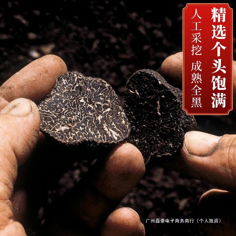 新鮮な黒トリュフ、野生キノコ、雲南特産の新鮮なトリュフ、新鮮な白トリュフ、アブリコス、アガリクス、キノコ、一年中|undefined