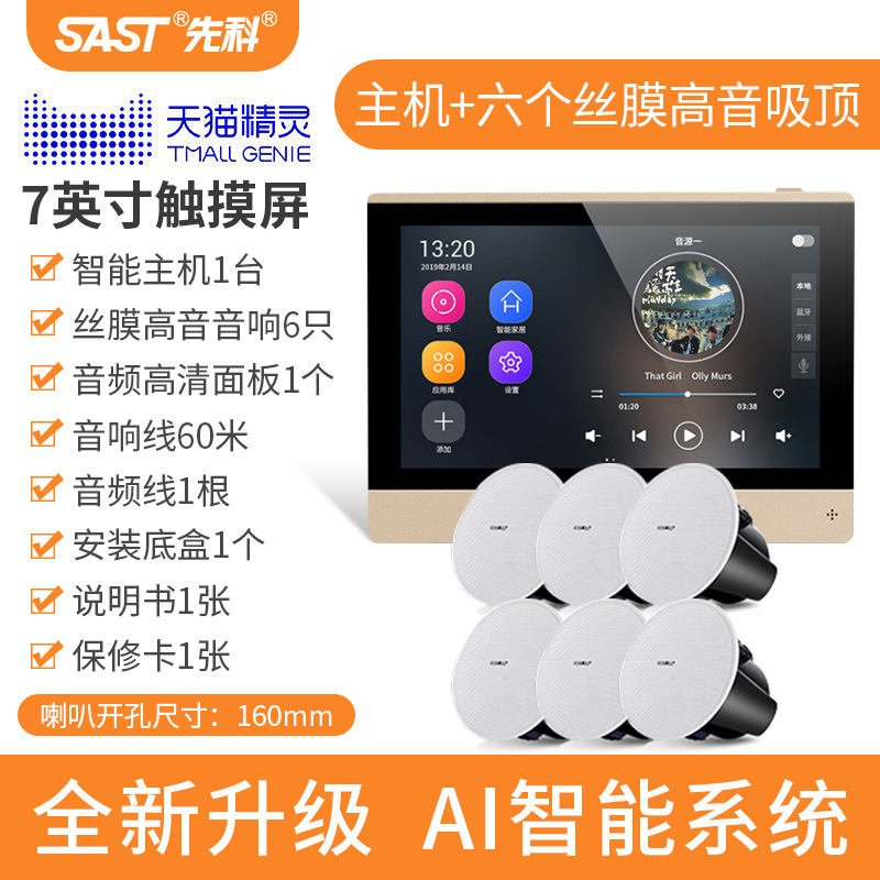 [내장 Tmall Elf] 호스트 + 실크 필름 트위터 천장 스피커 6개