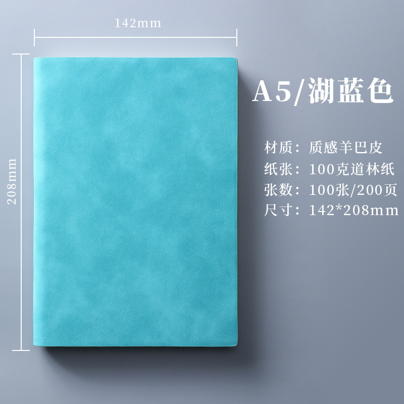 a5笔记本本子定制logo办公商务高颜值学生学习羊巴皮b5加厚记事本|undefined
