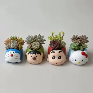 透气吸水盆多肉绿植陶瓷花盆小方型盆栽陶土插画种植大口径创意件