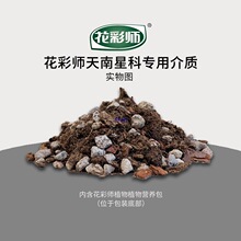 天南星科绿萝龟背竹土热带植物肥料营养液配土土壤