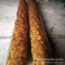 黄金檀 墨西哥黄金檀原木 虎皮檀 虎斑檀 可做风水柱 一手货源