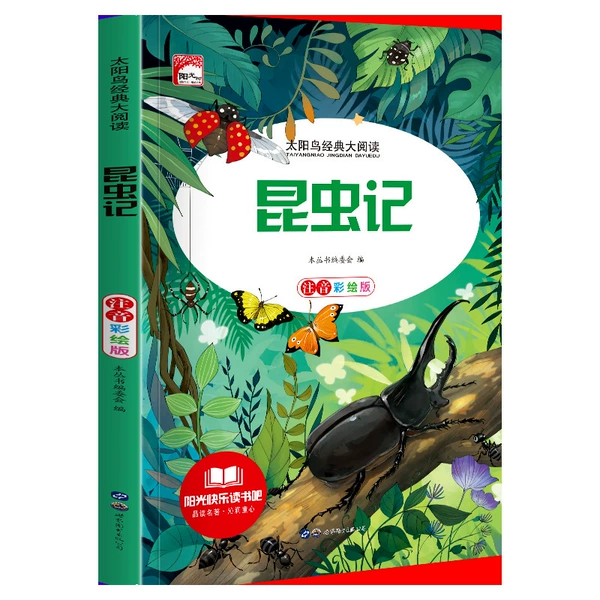 Insect