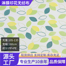 �S�Ҷ���pe��Ĥ�o������ˮ��������Ұ�͉|¶�I�|С�w�~ӡ���o����