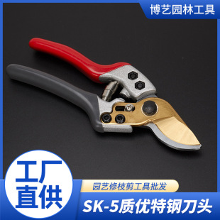 �F؛���l��֦������֦����� �@�ֹ��߹��䌣���X�Ͻ����