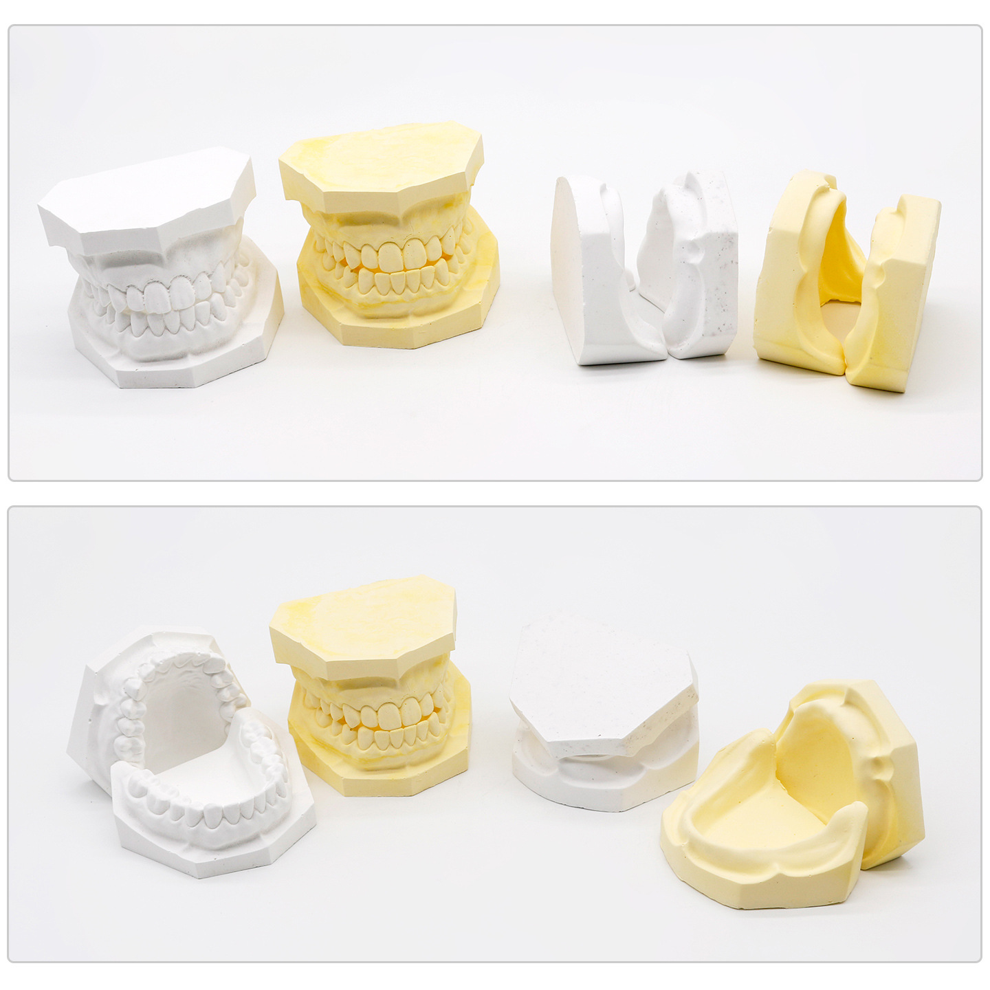 Modelo de yeso oral modelo de yeso dental enseñanza modelo de yeso dental modelo de yeso dental modelo de mandíbula superior e inferior modelo oral