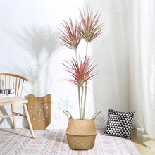 �W�tˮ���߲��F���ǧ��ľˮ�B���B�Gֲ�҃����[�ļ�����ˮ������