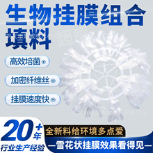 �M�����ϏUˮ��ˮ̎��S�����������Ĥ�K��ܛ�����ϒ�Ĥ���