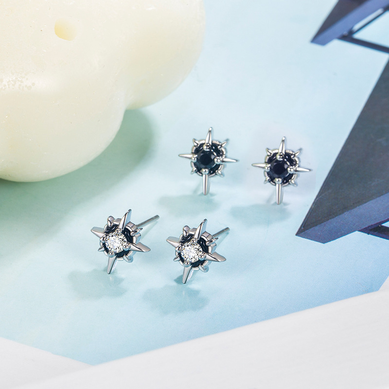 Polaris Earrings for Men, High-End 2022 Trendyy Stylish Men's Niche Boys' Handsome Earrings, Women's Earrings