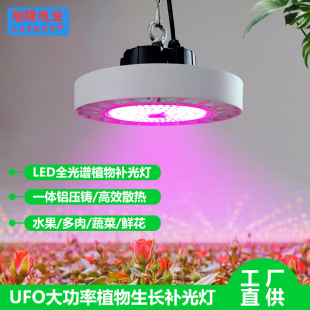 UFOֲ���a������������҃��̨����Nֲ�a����ݏSLED���{��