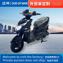 其他电动车;其他摩托车;电动自行车