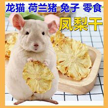 龙猫荷兰猪兔子宠物菠萝干营养零食预防毛球症促进排毛凤梨片零食