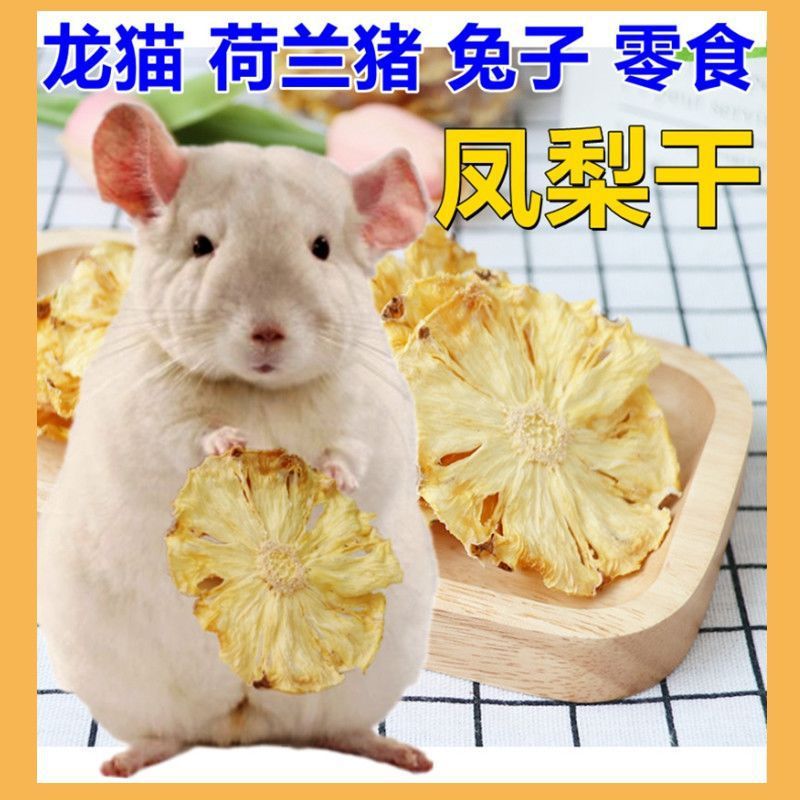龙猫荷兰猪兔子宠物菠萝干营养零食预防毛球症促进排毛凤梨片零食