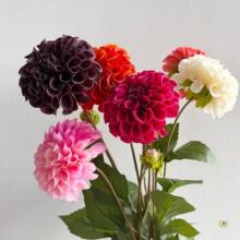 ?��Ʒ�|�ָб���2�^��������c�[���Ҿ��b����ٻ��zӰ������