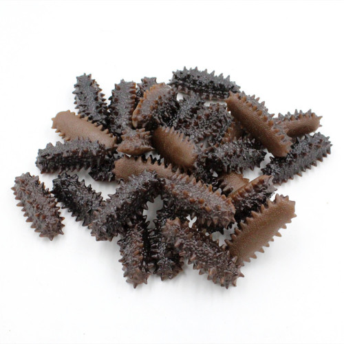 Simulated genuine small sea cucumber fake seafood full model food toys shooting props Liao ginseng PVC sea cucumber ornaments