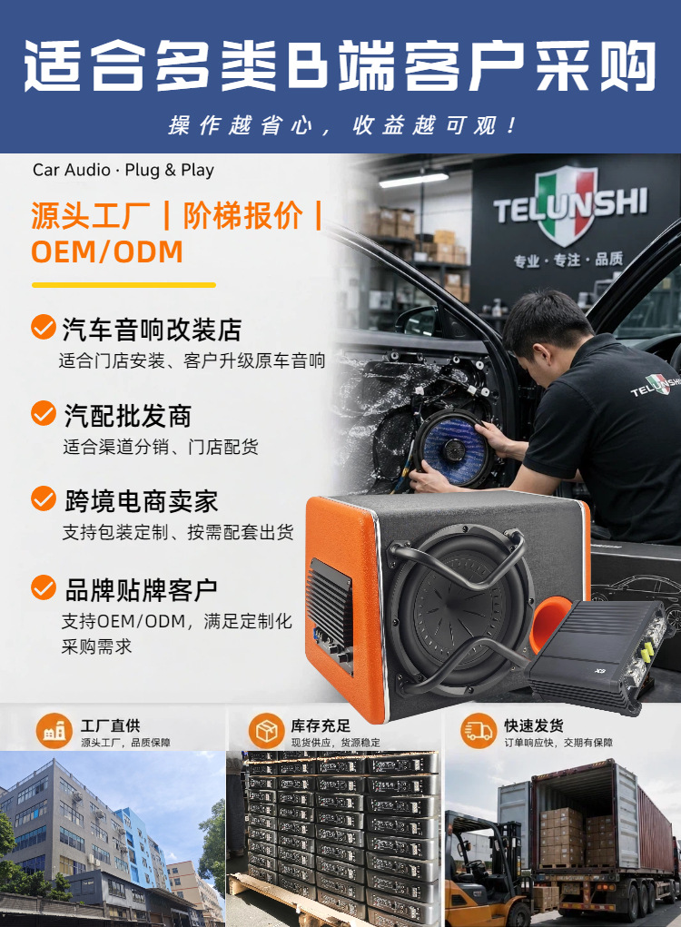 Source Factory Car Active Subwoofer 10inch Trunk Box Subwoofer 12V Super Bass Audio Wholesale Oem