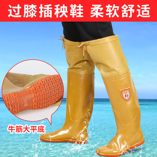 �r�����ЬŮܛ�׵���Ь�^ϥ�LͲ����ˮЬ�и�Ͳ����ѥЬ��ˮ��Ь