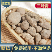 ���~����X�����J�����~��Ҏ���Rȫ��؛ɢ�b��ș��ץ��Դ�^�S�Ұl