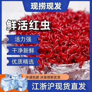 �ش��r��t�x���D̖���^�t�x���w�D���D�ڿ��a�~�D�����Ұ��~�D