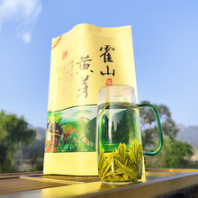 霍山黄芽2023新茶安徽茶叶雨前二级高山口粮黄茶耐泡春茶500克