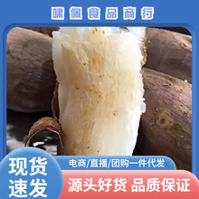 白心板栗红薯9斤新鲜蔬菜当季现挖农家沙地番薯地瓜5斤山芋批发
