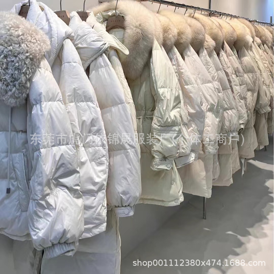 IMG_0668(20241009-110150)