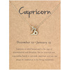 Zodiac signs, brand necklace, pendant, cards, European style, wish, Amazon