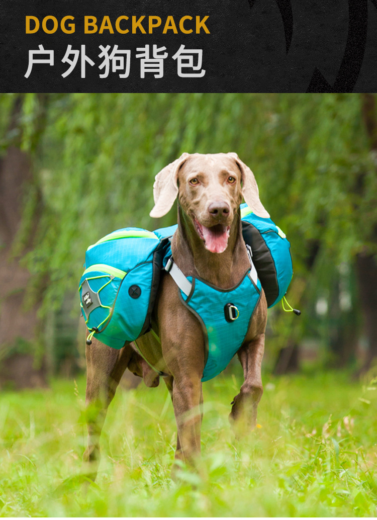 O1CN015Ecm371UpjWLrEGbl_!!1001232567-0-cib.jpg?__r__=1678170722604