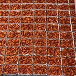 熟冻黑虎虾熟草虾300克每盒自助餐酒店高端食材铁板烧餐饮供应链