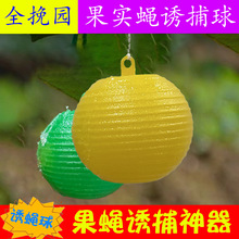 �羳���Q�Tω����ٴ�ω�T����Ϲ���ᘷ��T�x���T������ωճ�x