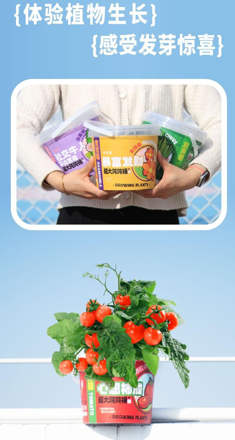 种植吨吨桶转曲_05