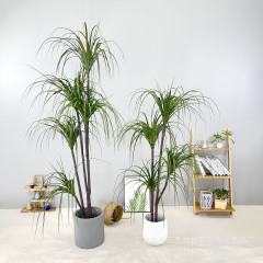 北欧シミュレーション龍血樹千年木緑植盆栽室内家庭装飾装飾置物植物卸売り組合
