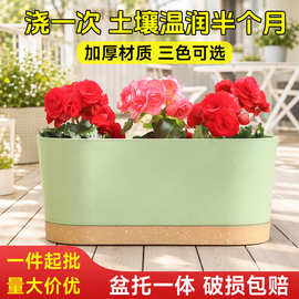 椭圆长槽盆带托盘长方形家用果蔬种菜加厚塑料花盆园艺蔬菜控根盆