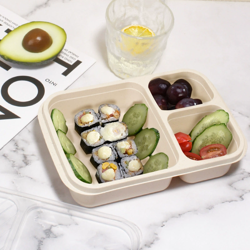 Lunch box for elementary school students, plastic dinner plate, thermos, банка для хранения