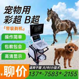 兽用高清孕检B超机 养殖场用牛羊猪马怀孕检测仪 畜牧繁殖监测设