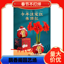 ��ľ�@ˇ�M����피t�ذ�N�򰢸������Ի��ܳ��ٹ������ֲ��