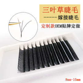 三叶草睫毛 开花 朵毛 自然 浓密 柔软 嫁接种植睫毛跨境款睫毛