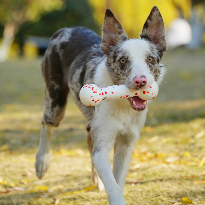 Meianju ポップコーンダンベル犬投げフリスビーおもちゃ軽く噛みつきにくい犬ペットインタラクティブトレーニングおもちゃ|undefined